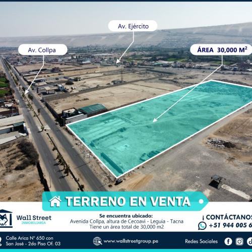 103 Avenida Collpa, Cecoavi Leguia.