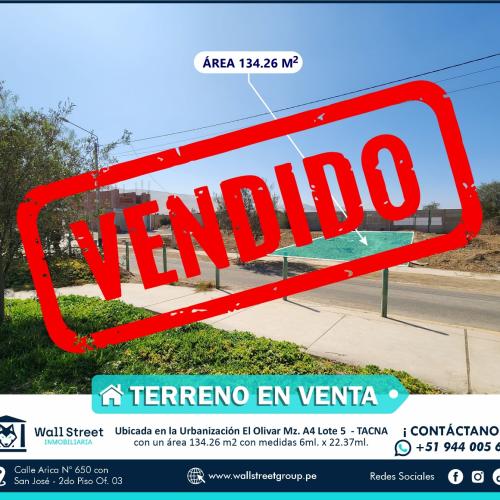 103 Ubr. El Olivar II